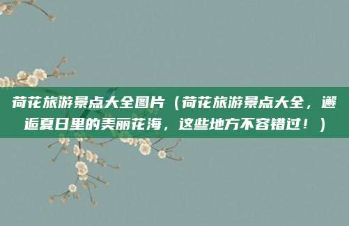 荷花旅游景点大全图片（荷花旅游景点大全，邂逅夏日里的美丽花海，这些地方不容错过！）
