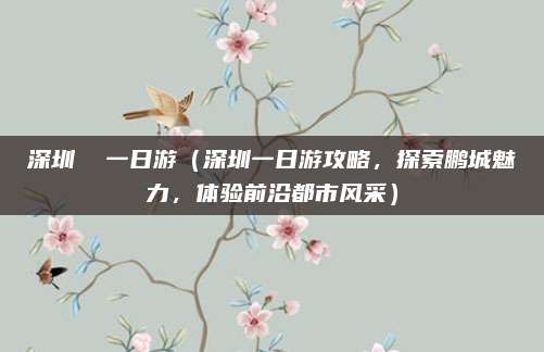 深圳 一日游(深圳一日游攻略,探索鹏城魅力,体验前沿都市风采)