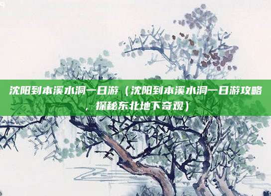 沈阳到本溪水洞一日游（沈阳到本溪水洞一日游攻略，探秘东北地下奇观）