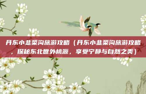 丹东小韭菜沟旅游攻略（丹东小韭菜沟旅游攻略，探秘东北世外桃源，享受宁静与自然之美）