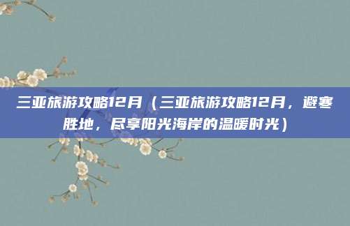 三亚旅游攻略12月(三亚旅游攻略12月,避寒胜地,尽享阳光海岸的温暖时光)