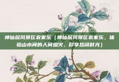 神仙居风景区农家乐(神仙居风景区农家乐,体验山水间的人间烟火,尽享悠闲时光)