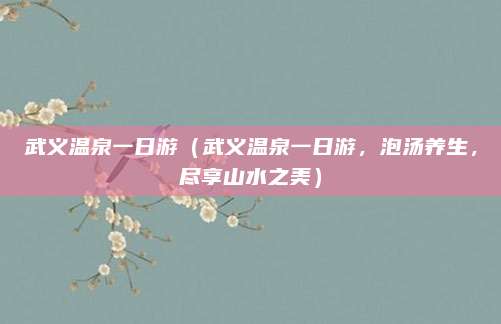 武义温泉一日游(武义温泉一日游,泡汤养生,尽享山水之美)
