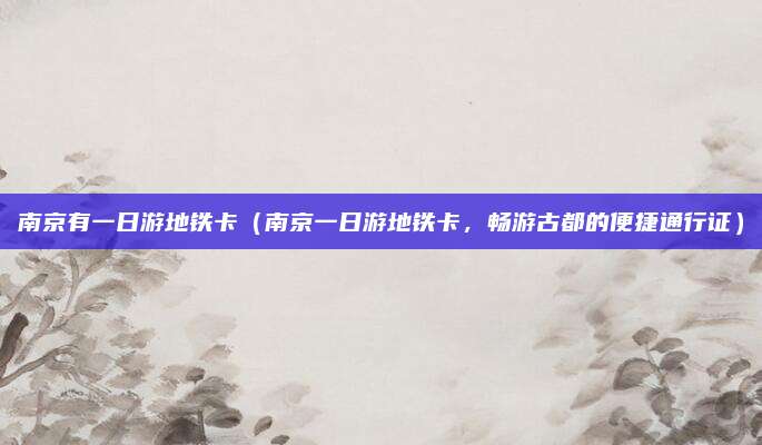 南京有一日游地铁卡（南京一日游地铁卡，畅游古都的便捷通行证）
