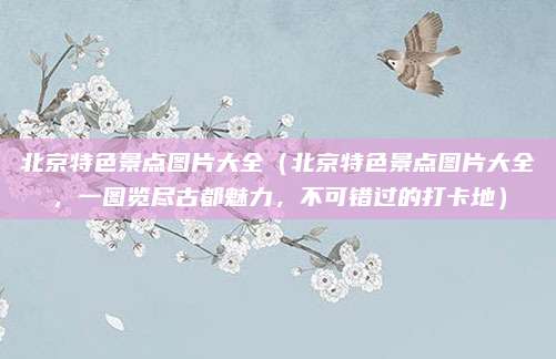 北京特色景点图片大全(北京特色景点图片大全,一图览尽古都魅力,不可错过的打卡地)
