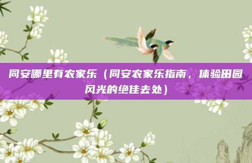 同安哪里有农家乐(同安农家乐指南,体验田园风光的绝佳去处)