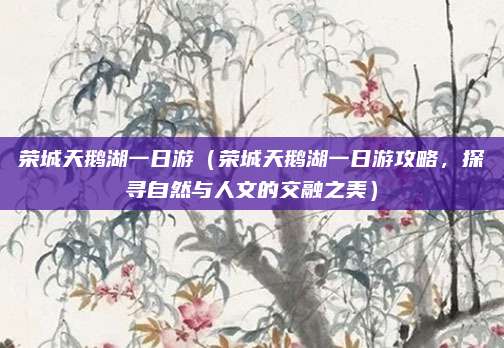 荣城天鹅湖一日游(荣城天鹅湖一日游攻略,探寻自然与人文的交融之美)