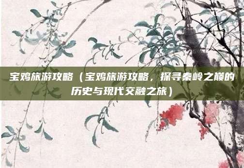 宝鸡旅游攻略(宝鸡旅游攻略,探寻秦岭之巅的历史与现代交融之旅)