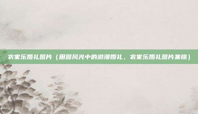农家乐婚礼图片(田园风光中的浪漫婚礼,农家乐婚礼图片集锦)