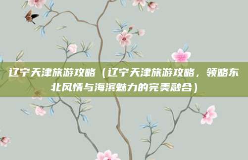 辽宁天津旅游攻略(辽宁天津旅游攻略,领略东北风情与海滨魅力的完美融合)