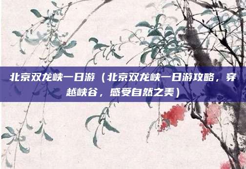 北京双龙峡一日游(北京双龙峡一日游攻略,穿越峡谷,感受自然之美)