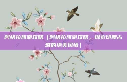 阿格拉旅游攻略(阿格拉旅游攻略,探索印度古城的绝美风情)