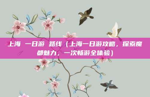上海 一日游 路线(上海一日游攻略,探索魔都魅力,一次畅游全体验)