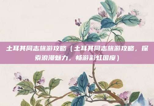 土耳其同志旅游攻略(土耳其同志旅游攻略,探索浪漫魅力,畅游彩虹国度)