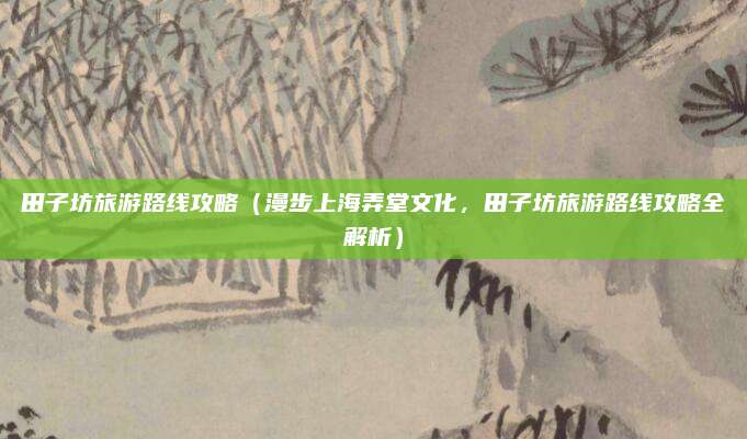 田子坊旅游路线攻略(漫步上海弄堂文化,田子坊旅游路线攻略全解析)