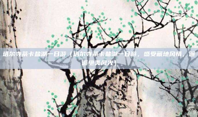 塔尔寺茶卡盐湖一日游（塔尔寺茶卡盐湖一日游，感受藏地风情，邂逅绝美风光）
