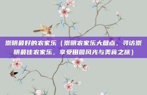 崇明最好的农家乐(崇明农家乐大盘点,寻访崇明最佳农家乐,享受田园风光与美食之旅)