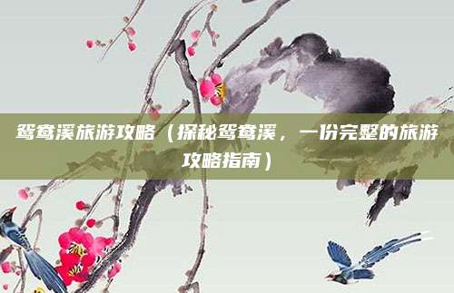 鸳鸯溪旅游攻略（探秘鸳鸯溪，一份完整的旅游攻略指南）