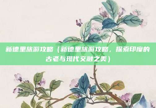 新德里旅游攻略(新德里旅游攻略,探索印度的古老与现代交融之美)