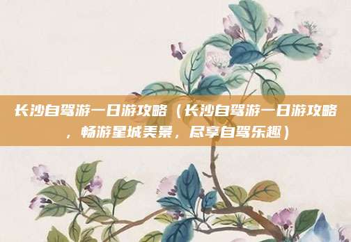 长沙自驾游一日游攻略（长沙自驾游一日游攻略，畅游星城美景，尽享自驾乐趣）