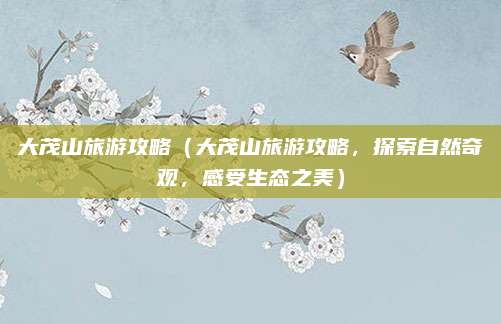 大茂山旅游攻略(大茂山旅游攻略,探索自然奇观,感受生态之美)