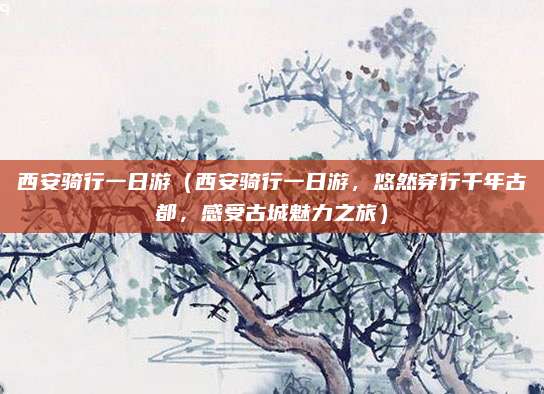 西安骑行一日游(西安骑行一日游,悠然穿行千年古都,感受古城魅力之旅)