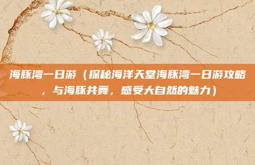 海豚湾一日游(探秘海洋天堂海豚湾一日游攻略,与海豚共舞,感受大自然的魅力)