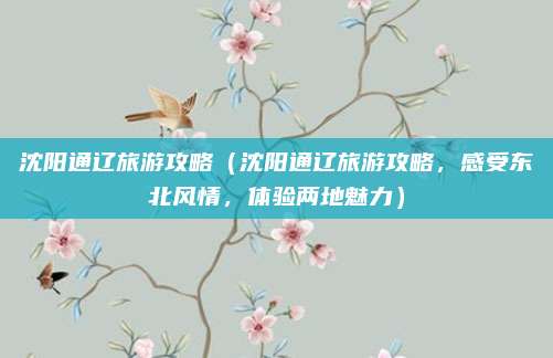 沈阳通辽旅游攻略(沈阳通辽旅游攻略,感受东北风情,体验两地魅力)