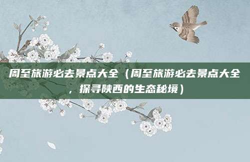 周至旅游必去景点大全(周至旅游必去景点大全,探寻陕西的生态秘境)