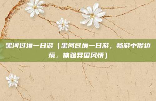 黑河过境一日游（黑河过境一日游，畅游中俄边境，体验异国风情）