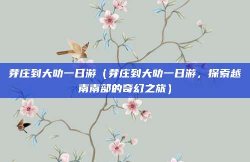 芽庄到大叻一日游（芽庄到大叻一日游，探索越南南部的奇幻之旅）