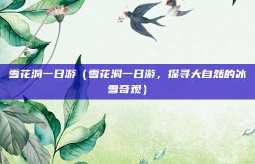 雪花洞一日游(雪花洞一日游,探寻大自然的冰雪奇观)