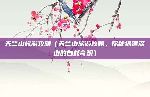天竺山旅游攻略（天竺山旅游攻略，探秘福建深山的自然奇观）