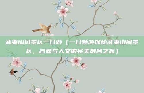 武夷山风景区一日游（一日畅游探秘武夷山风景区，自然与人文的完美融合之旅）