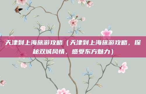 天津到上海旅游攻略（天津到上海旅游攻略，探秘双城风情，感受东方魅力）