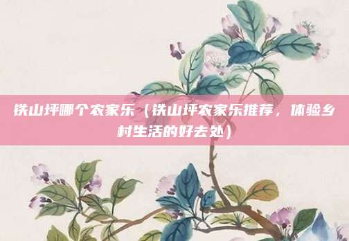 铁山坪哪个农家乐(铁山坪农家乐推荐,体验乡村生活的好去处)
