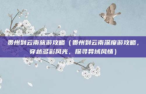 贵州到云南旅游攻略(贵州到云南深度游攻略,穿越多彩风光,探寻异域风情)