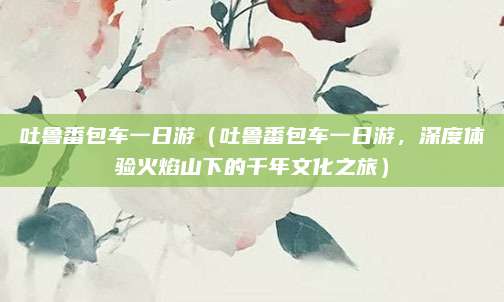 吐鲁番包车一日游(吐鲁番包车一日游,深度体验火焰山下的千年文化之旅)