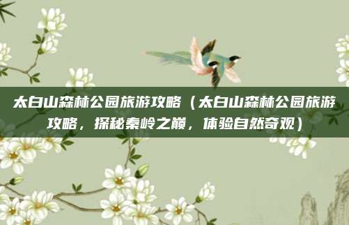 太白山森林公园旅游攻略(太白山森林公园旅游攻略,探秘秦岭之巅,体验自然奇观)
