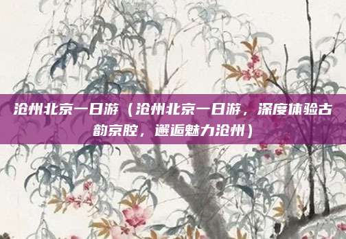 沧州北京一日游(沧州北京一日游,深度体验古韵京腔,邂逅魅力沧州)