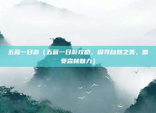 五营一日游(五营一日游攻略,探寻自然之美,感受森林魅力)