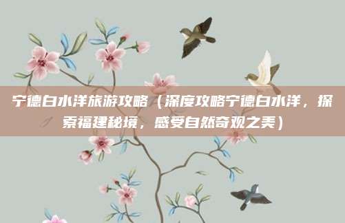 宁德白水洋旅游攻略(深度攻略宁德白水洋,探索福建秘境,感受自然奇观之美)