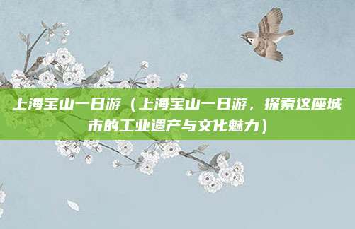 上海宝山一日游(上海宝山一日游,探索这座城市的工业遗产与文化魅力)