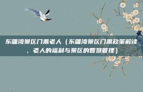 东疆湾景区门票老人(东疆湾景区门票政策解读,老人的福利与景区的智慧管理)
