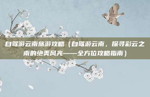 自驾游云南旅游攻略(自驾游云南,探寻彩云之南的绝美风光——全方位攻略指南)