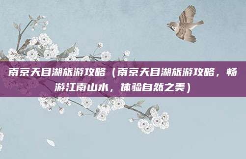 南京天目湖旅游攻略(南京天目湖旅游攻略,畅游江南山水,体验自然之美)