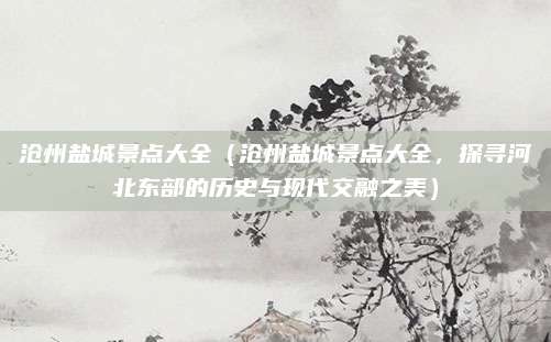 沧州盐城景点大全(沧州盐城景点大全,探寻河北东部的历史与现代交融之美)