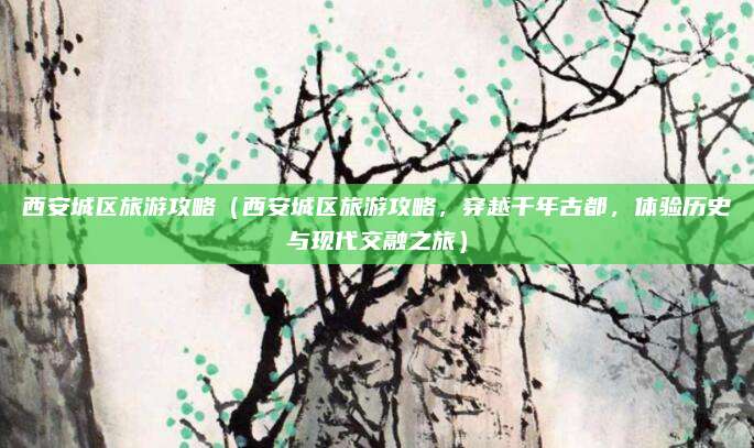 西安城区旅游攻略(西安城区旅游攻略,穿越千年古都,体验历史与现代交融之旅)