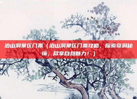 泊山洞景区门票(泊山洞景区门票攻略,探索奇洞秘境,尽享自然魅力!)