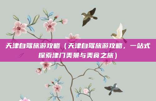 天津自驾旅游攻略(天津自驾旅游攻略,一站式探索津门美景与美食之旅)